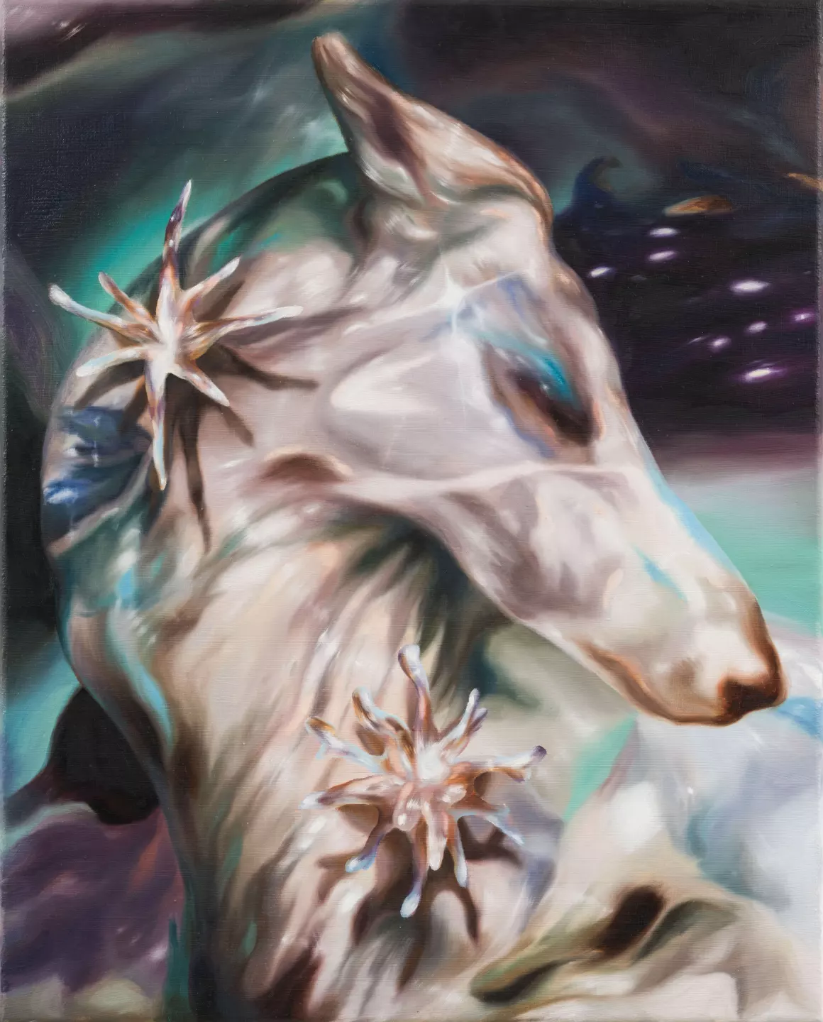 Philippa Brück, Stargazer, 2025, Oil on canvas, 50 × 40 cm